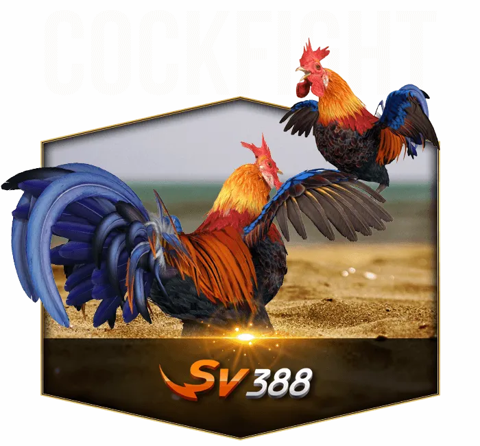 SV388 Cock Fighting